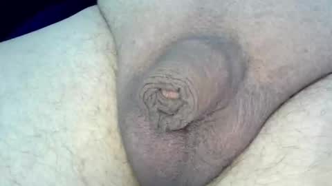 MICA online show from January 31, 11:25 pm