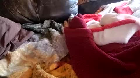 24cockrings online show from November 28, 6:32 pm