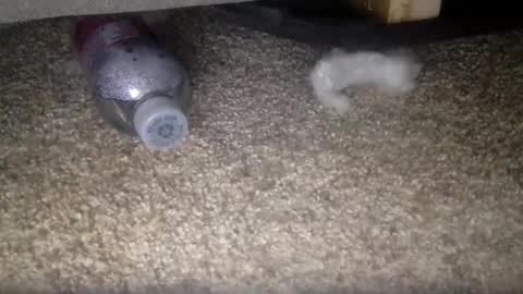 30nick online show from February 10, 4:17 am