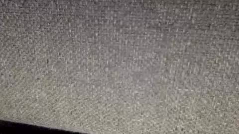 30nick online show from March 12, 3:03 am