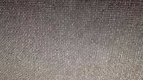 30nick online show from March 18, 6:16 am