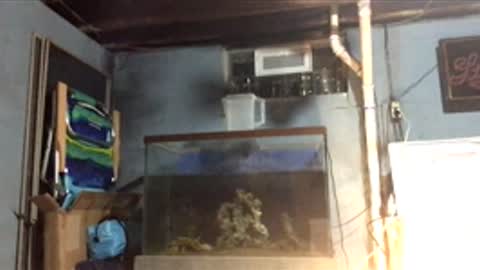 33adidas online show from November 26, 8:50 am