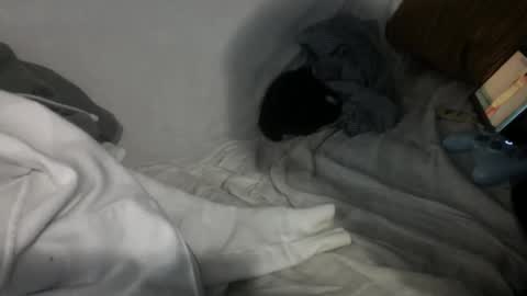 Snapshot of 69ass_tastic chatting on January 22, 7:57 am Chris online show from January 22, 7:57 am