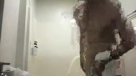 69hyhallnightdddda online show from April 22, 2:55 pm