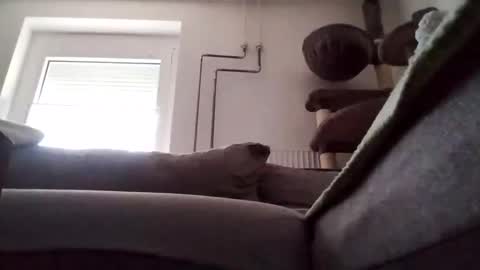 88piterr88 online show from February 24, 7:22 am