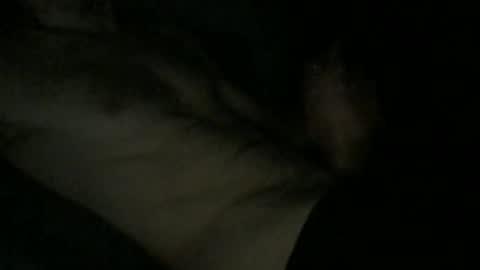 acid_lab online show from February 6, 9:44 pm