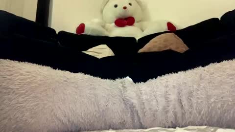 Snapshot of adam_1792 chatting on January 1, 11:49 am ENIGMA TZX5114 online show from January 1, 11:49 am