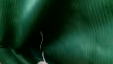 adarkvid420tj online show from November 15, 2:57 am