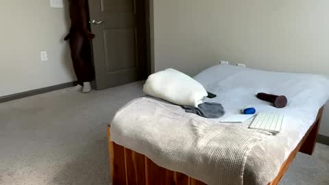 ahno online show from October 5, 5:28 pm