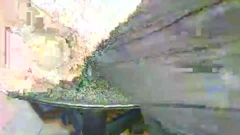 Alex online show from December 21, 2:36 pm