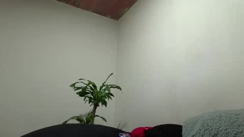 Allan online show from January 17, 7:44 am