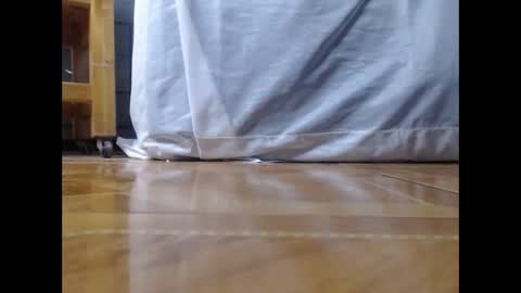 ur god online show from April 11, 2:08 am