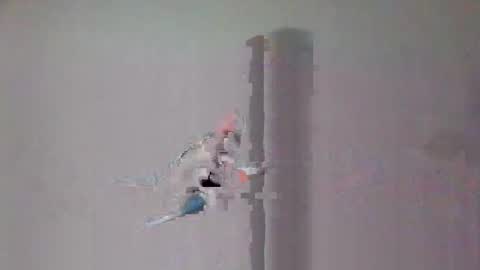 AlexRue online show from April 6, 5:47 pm