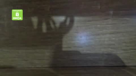 Andres Canalla online show from January 4, 5:58 pm