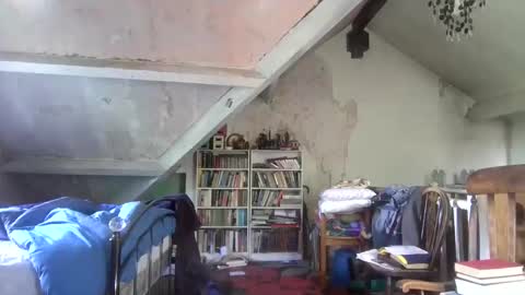Andrew online show from May 29, 10:47 am