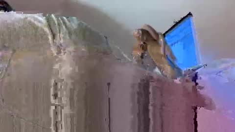 andysap online show from January 8, 10:58 pm