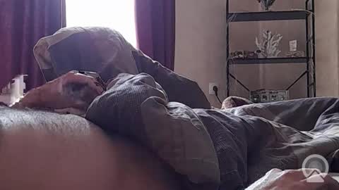 REAL FEEL 2024 online show from April 8, 7:41 am