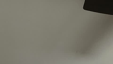 anydaynow2024 online show from December 15, 5:43 pm