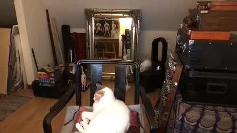 artisterotic online show from April 8, 10:07 pm