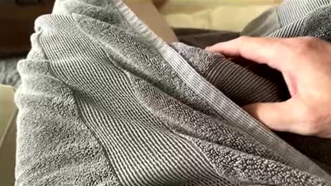 Aussie fatcock online show from April 5, 12:52 am