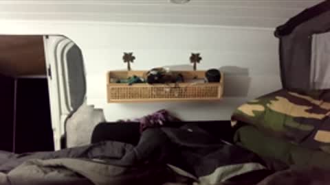 Aussiebumm online show from December 1, 2:31 pm