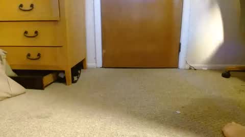 awizr online show from February 22, 12:27 am