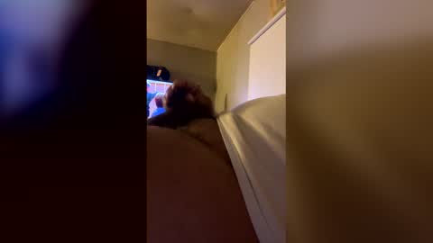 b945061 online show from April 27, 1:57 am