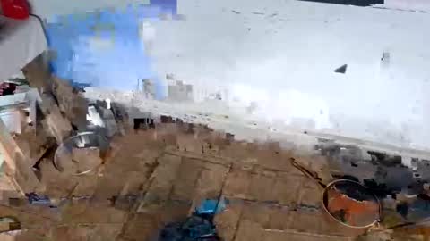 ballshanginglowaf online show from February 1, 12:31 am