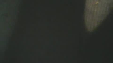 bandapart online show from January 16, 2:19 pm