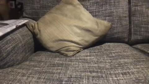 baykiwi54 online show from December 17, 8:45 am