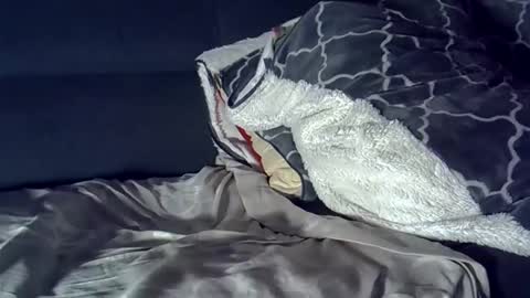 bbc_highness online show from March 29, 8:14 am