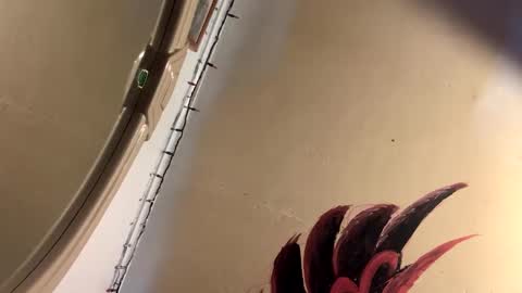 Mikes room online show from April 2, 9:55 pm