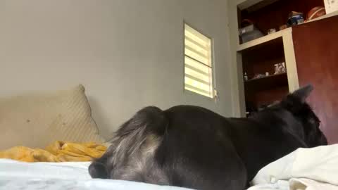 beautifukk online show from November 24, 1:56 pm