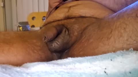 bertopdx online show from April 10, 6:53 am