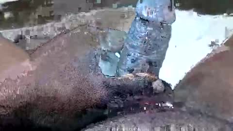 bf2506 online show from February 17, 5:01 pm