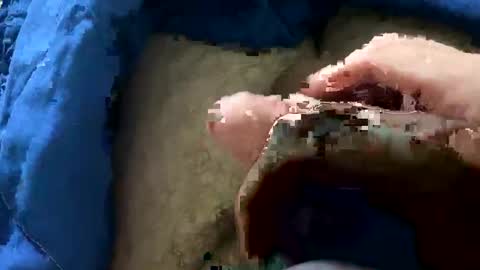 big88385909 online show from November 24, 12:22 am