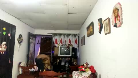 Stiven Leon online show from January 1, 8:13 am