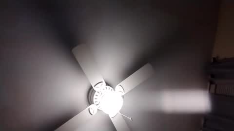 bigbok191963 online show from November 30, 3:08 am