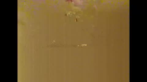 Snapshot of bigdaddydongarlets391292 chatting on October 17, 8:07 am bigdaddydongarlets391292 online show from October 17, 8:07 am