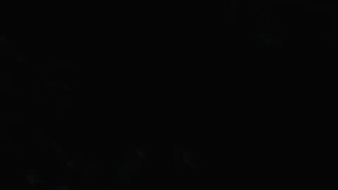 Snapshot of bigdizzyd chatting on December 28, 2:33 am 7inchstroker online show from December 28, 2:33 am