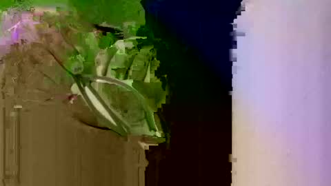 bigdog9thick online show from January 6, 7:24 pm