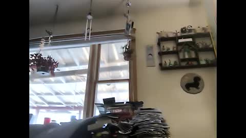 bigelectricrod online show from January 4, 3:28 pm