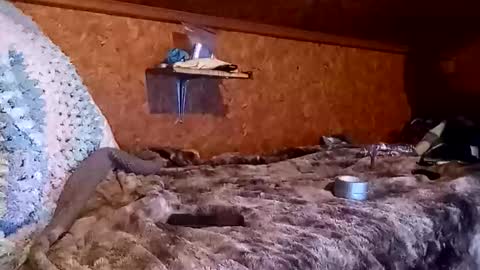 bigmike5081 online show from December 18, 2:07 am