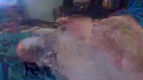 billcuck69_ online show from April 12, 3:35 pm