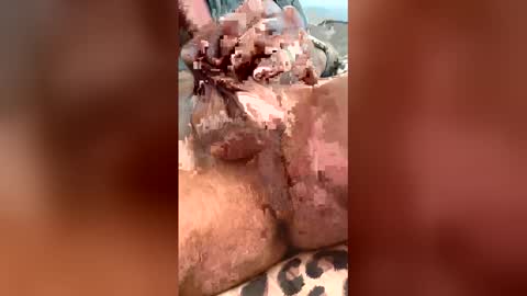 birchbranch online show from March 31, 7:26 pm