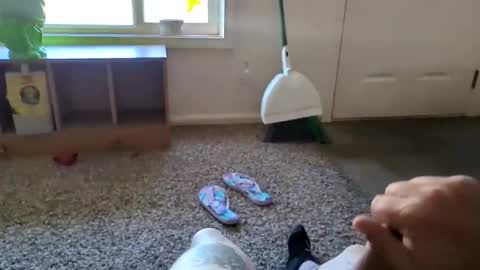 Black wolf online show from February 25, 8:41 pm