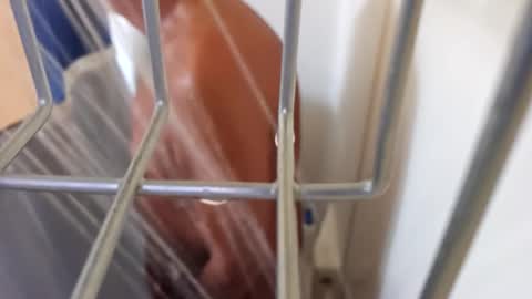 blksp2500 online show from September 14, 11:56 am