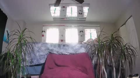 bms777 online show from January 11, 4:44 pm