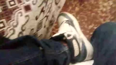 boardss91 online show from April 12, 8:16 am