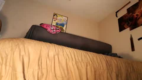 bobbiebone and company online show from December 12, 3:21 am